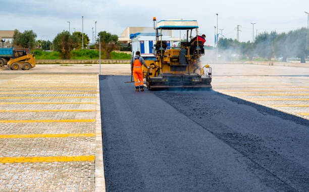 Driveway Maintenance Services in Lamar, TX